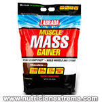 Muscle Mass Gainer 6 lbs - Ayuda a ganar peso muscular rpidamente. Labrada