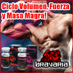 Ciclo Volumen, Fuerza y Masa Magra. Bravaria Labs