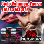 Excelente ciclo para masa y volumen con la mejor calidad disponible.