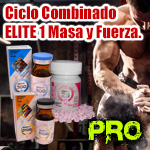 Ciclo Combinado ELITE 1 Masa y Fuerza. PRO