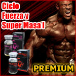 Ciclo Fuerza y Super Masa 1. PREMIUM