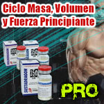 Ciclo Masa, Volumen y Fuerza Principiante. Pro