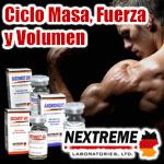 Excelente ciclo para obtener lo mejor de tus musculos