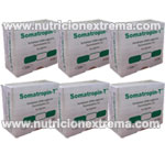 Somatropin - T 48ui Pack Especial 6 vial de 8ui - Hormona de Crecimiento Humano